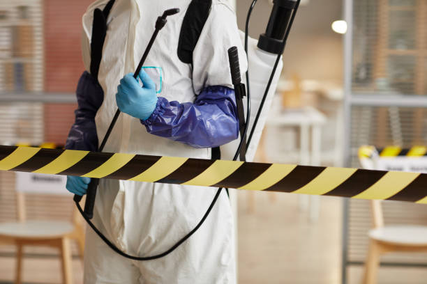 Professional Sewage Cleanup technician working in La Verne, CA