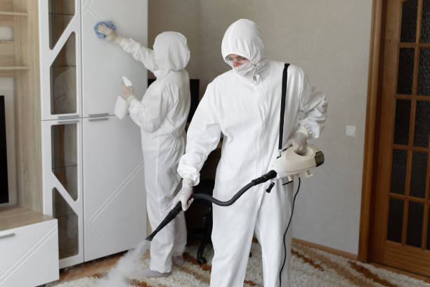 24/7 Emergency Sewage Cleanup experts in La Verne, CA